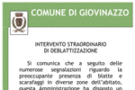 Intervento straordinario di deblattizzazione